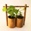 green-bamboo