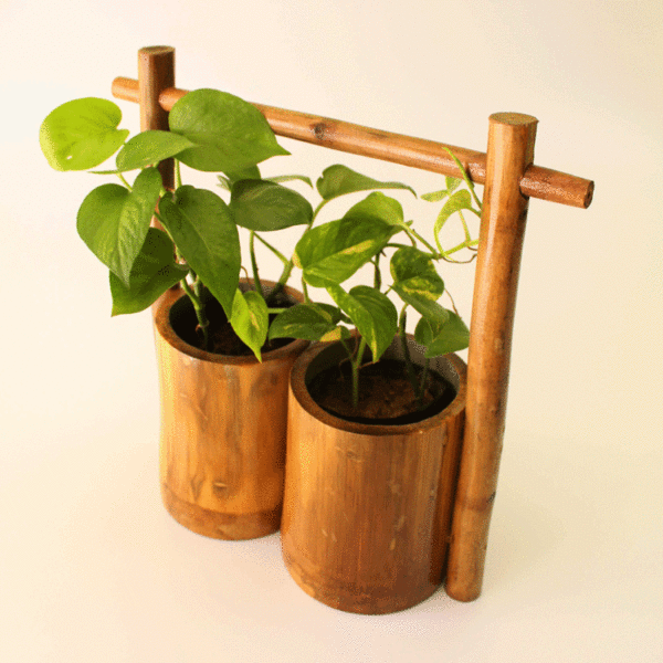 Bamboo-Planter