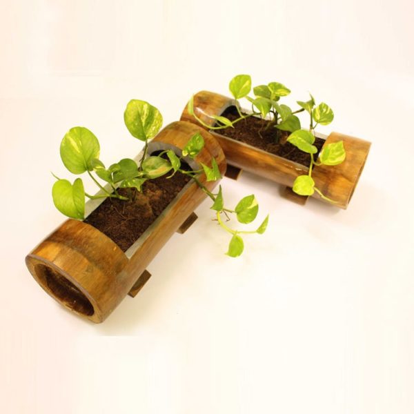 eastern-bamboo-product