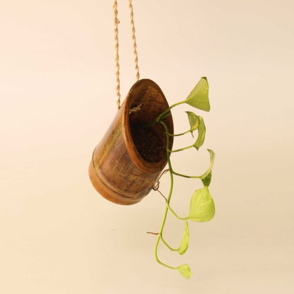 bamboo hanging hoop mini planter