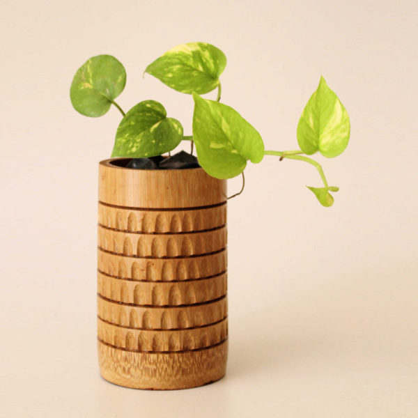 mini-bamboo-planter