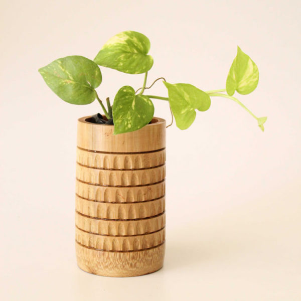 Mini-Tabletop-Planter