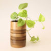 Mini-Tabletop-Planter
