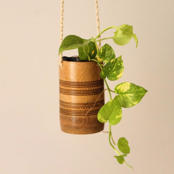 mini-hanging-bamboo