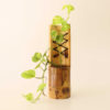 bamboo-thread
