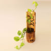 rope-bamboo