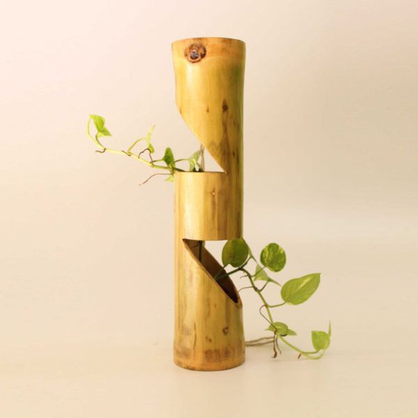 long-bamboo