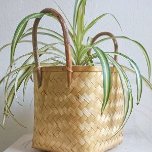 Woven Bamboo Planter With Handle