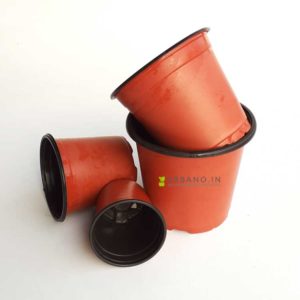 Thermoform pots terracotta color