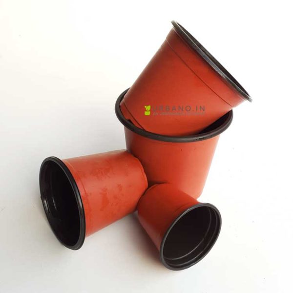 Thermoform pots terracotta color