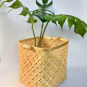 Woven-Bamboo-Planter-Side-Holding