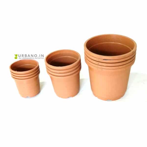 Grow Pots Terracota-3
