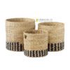 Colored-Kauna-Grass-Planter