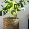 Big Round Cane Planter L
