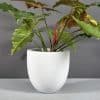 Fiberglass Bavin Planter