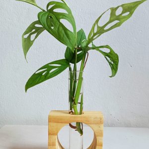 Small-tabletop-pinewood-planter