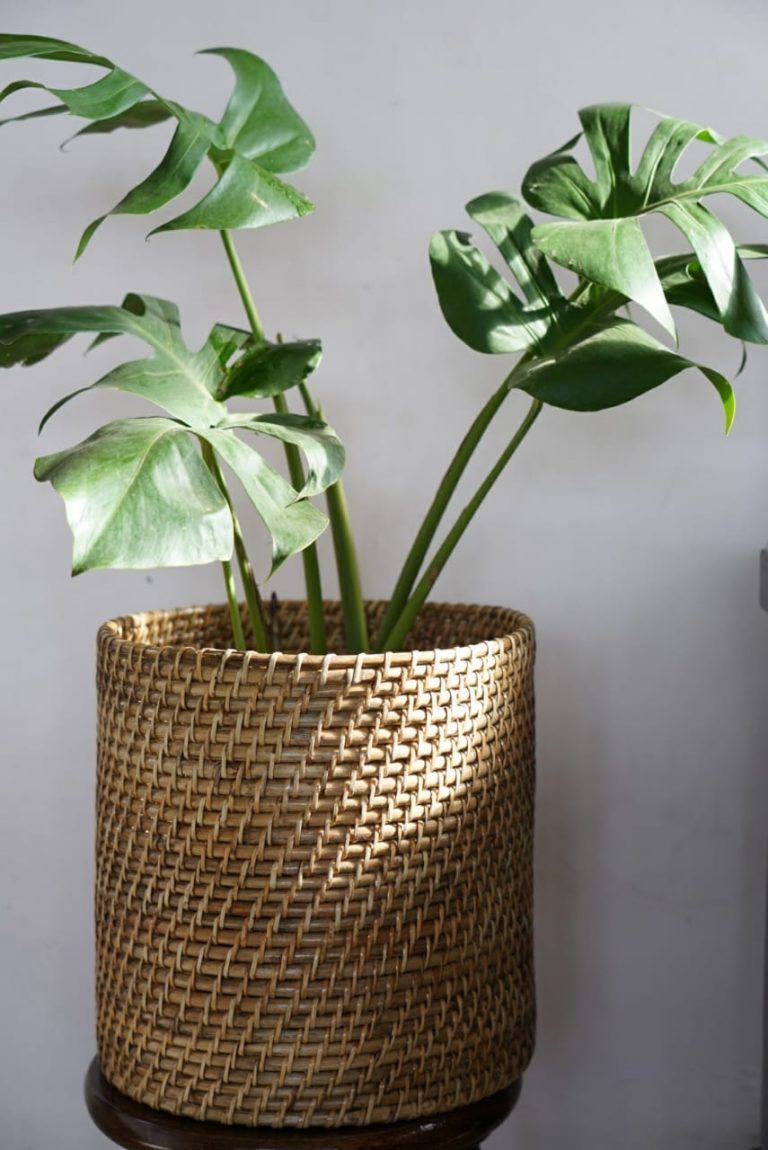 Big Round Cane Planter XL URBANO.IN big round cane planter