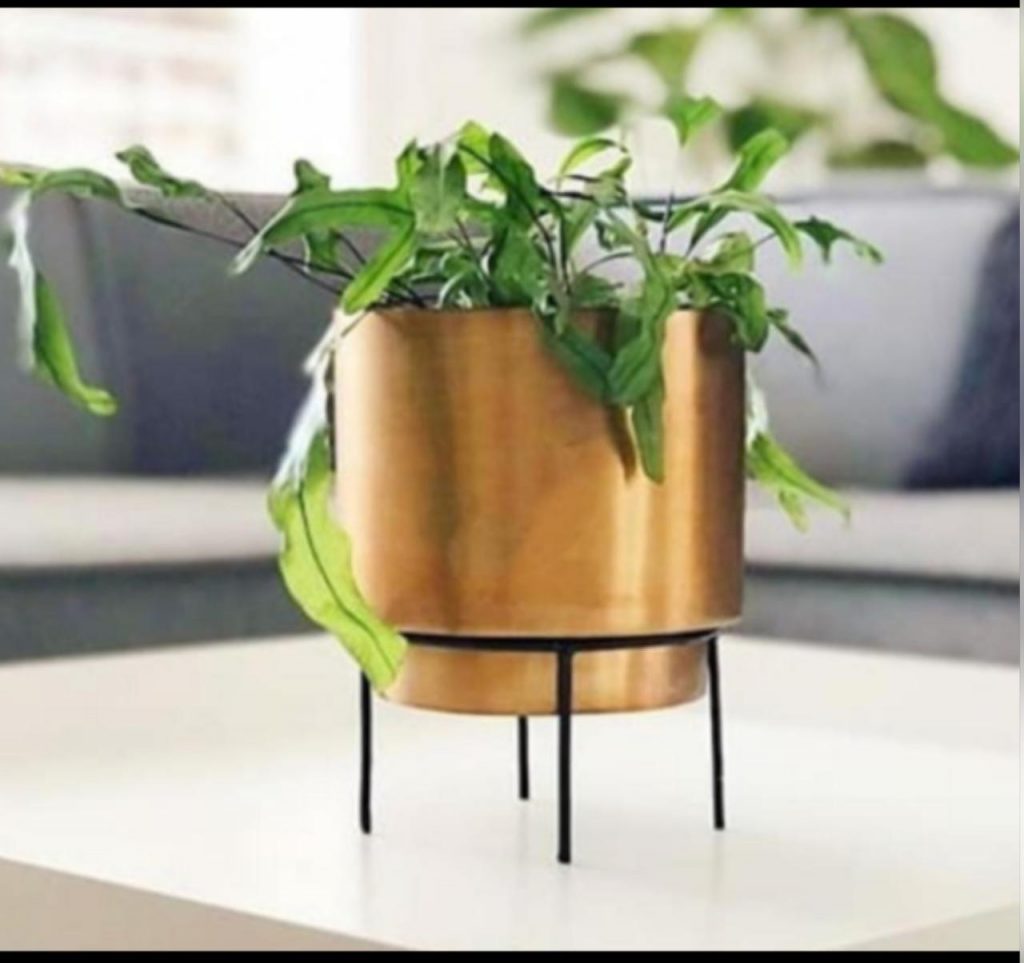 Mini tabletop metal planter URBANO.IN Mini tabletop metal planter