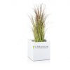 Fiberglass square-shaped planter