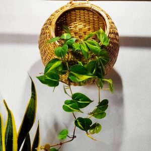 Multipurpose-Planter-Basket-Planto