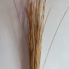 Bamboo-Stick-Jhadu