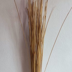 Bamboo-Stick-Jhadu