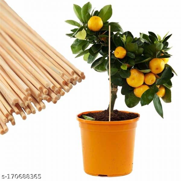 Bamboo-Stick-for-Plant-Support-Pack-of-12-Pieces