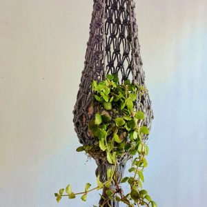 bird nest hanging planter
