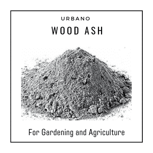 Wood Ash Dust 500 Gms