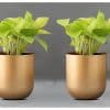 Image for Metal Pot